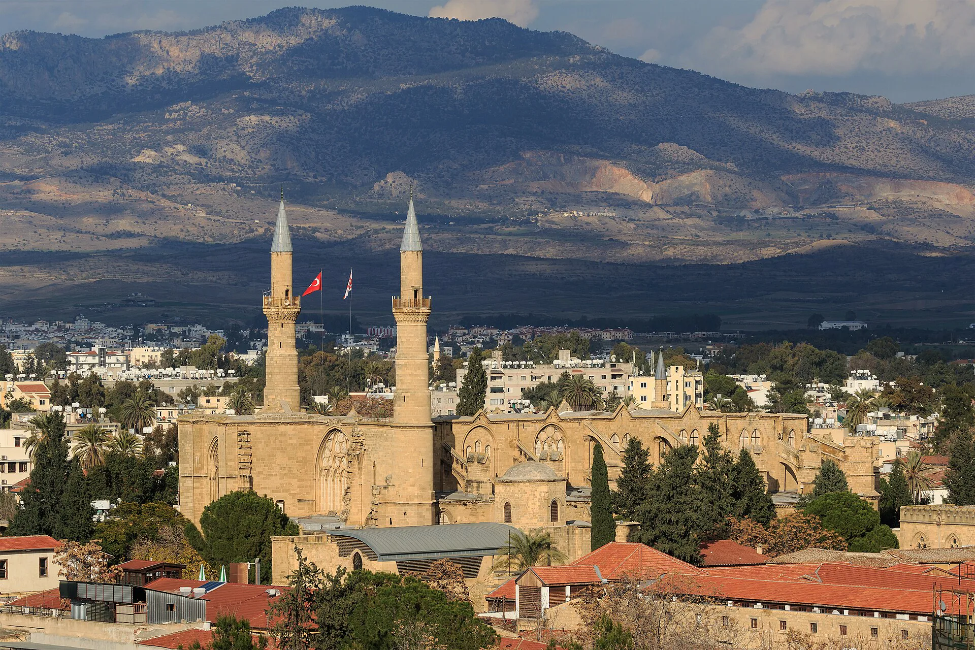 جامع السليمية
